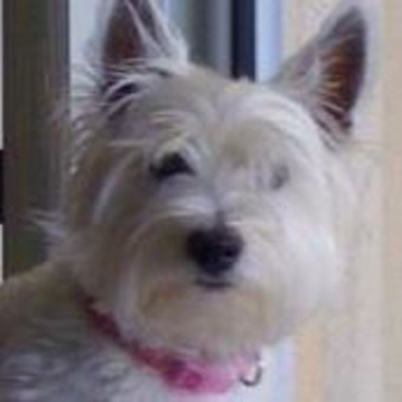 Meet your Posher, Sara - Picture 1 of 1